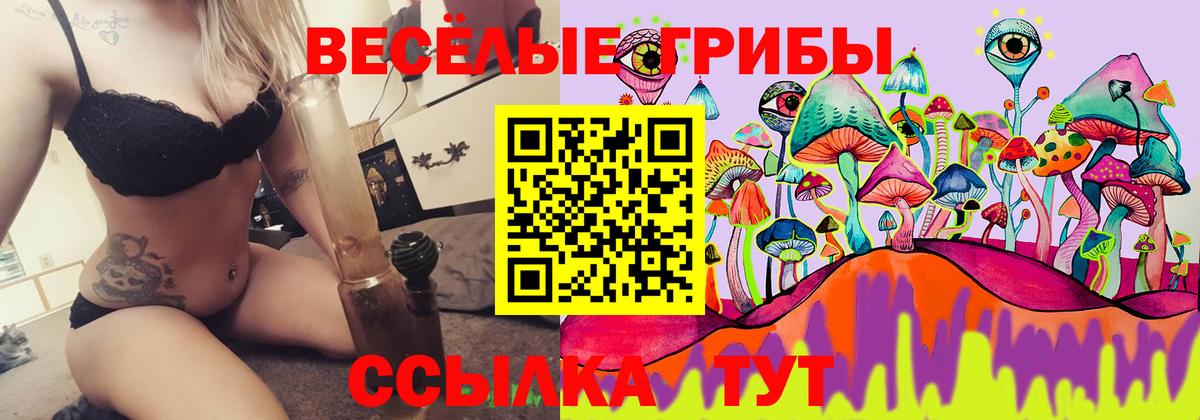 Псилоцибиновые грибы мухоморы Чистополь